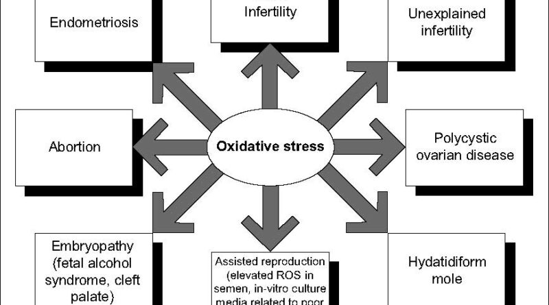 stress ossidativo e malattie