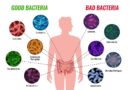 Microbioma e medicina anticipatoria
